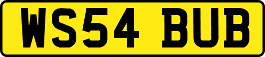 WS54BUB