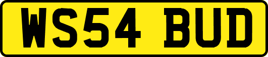 WS54BUD