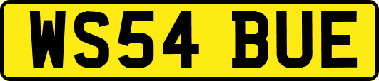 WS54BUE