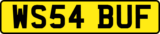 WS54BUF