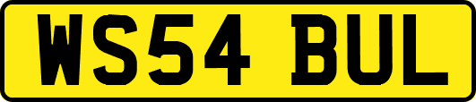 WS54BUL