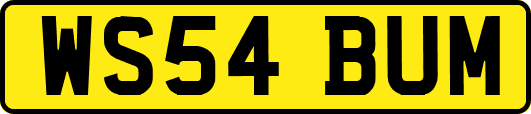 WS54BUM