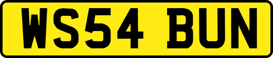WS54BUN