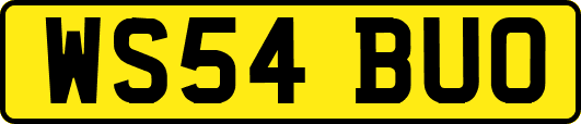 WS54BUO