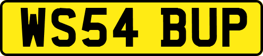 WS54BUP