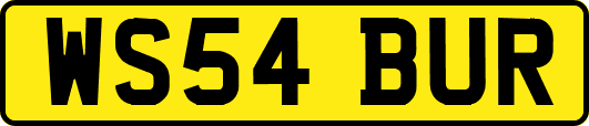 WS54BUR
