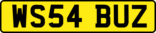 WS54BUZ