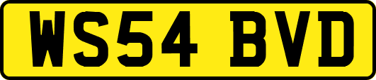 WS54BVD