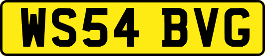 WS54BVG
