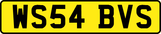 WS54BVS