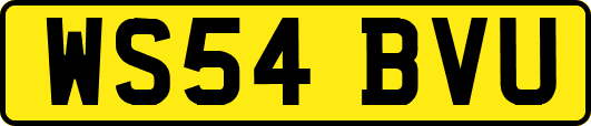 WS54BVU