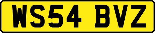 WS54BVZ