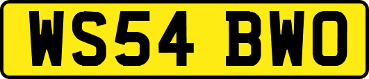 WS54BWO