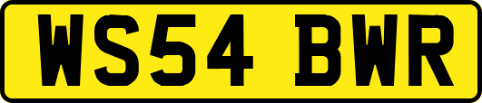 WS54BWR