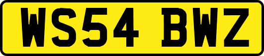 WS54BWZ
