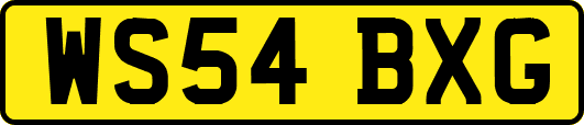 WS54BXG