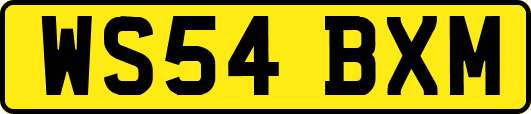 WS54BXM