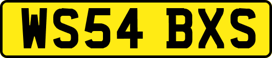 WS54BXS