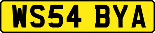 WS54BYA