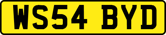 WS54BYD