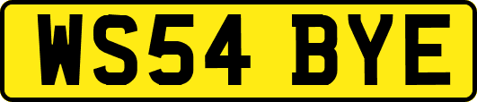 WS54BYE