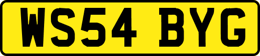 WS54BYG