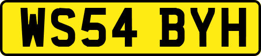 WS54BYH