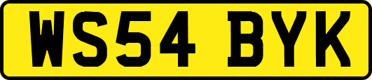 WS54BYK