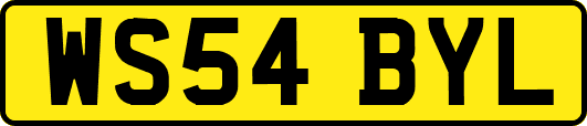 WS54BYL