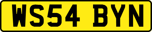 WS54BYN