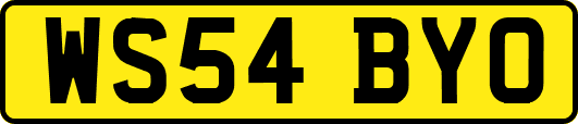 WS54BYO