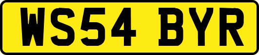 WS54BYR