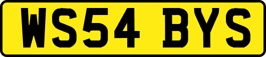 WS54BYS