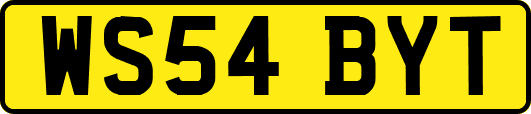 WS54BYT
