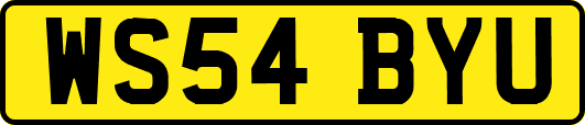 WS54BYU