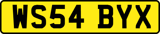 WS54BYX