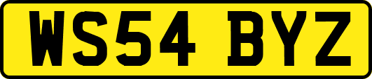 WS54BYZ