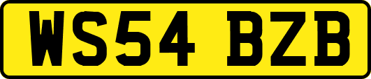 WS54BZB