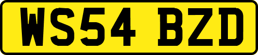 WS54BZD