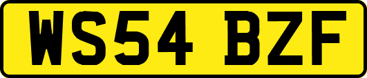 WS54BZF