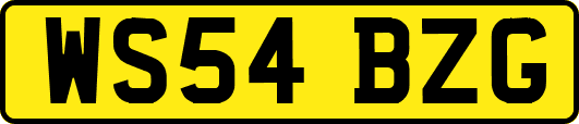 WS54BZG