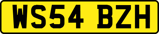 WS54BZH
