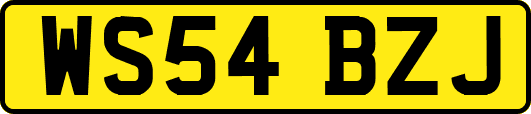 WS54BZJ