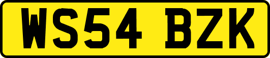 WS54BZK