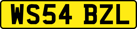 WS54BZL