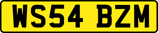 WS54BZM
