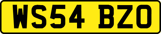 WS54BZO