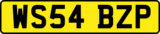 WS54BZP