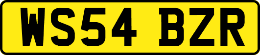 WS54BZR