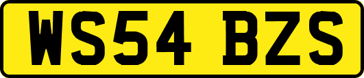 WS54BZS